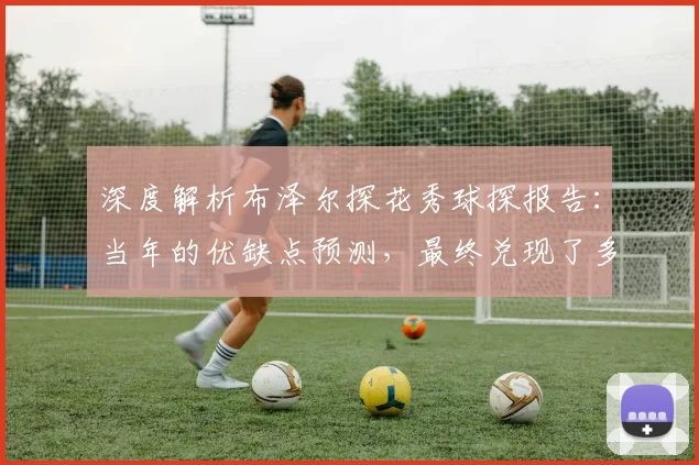 深度解析布泽尔探花秀球探报告:当年的优缺点预测,最终兑现了多少?