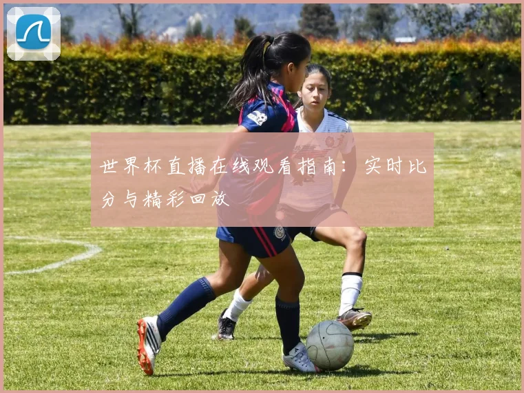 世界杯直播在线观看指南:实时比分与精彩回放